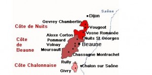 Carte des vins de bourgogne
